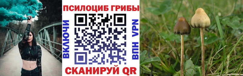 Галлюциногенные грибы Psilocybe hydra ONION Балашиха купить наркотик